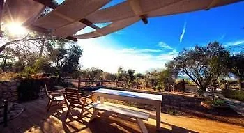 Prima Donna - Adults Only 3* Patara